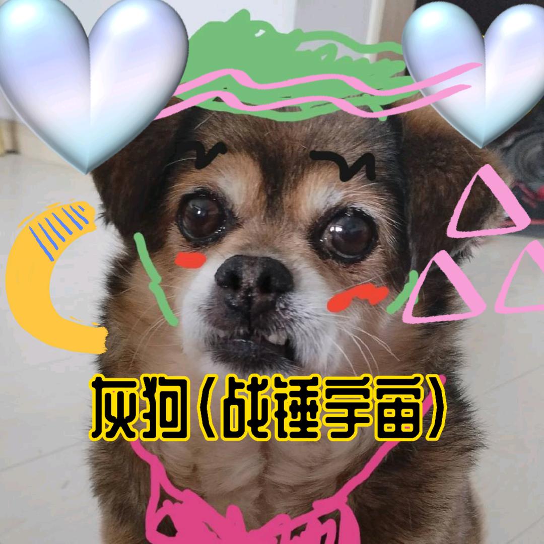 战锤40K•灰狗.