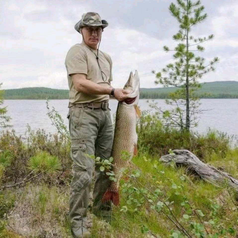 春林爱钓鱼🎣