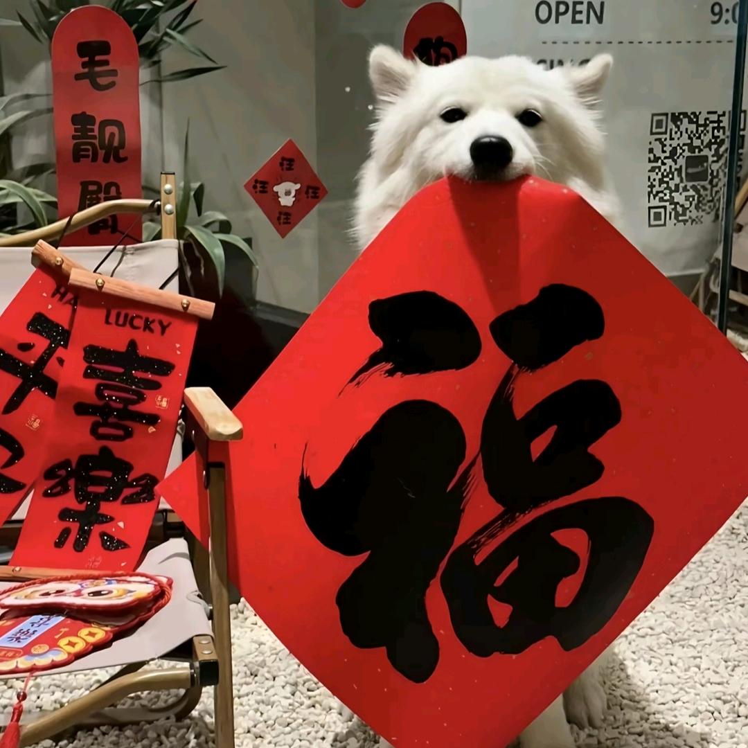 富贵本贵