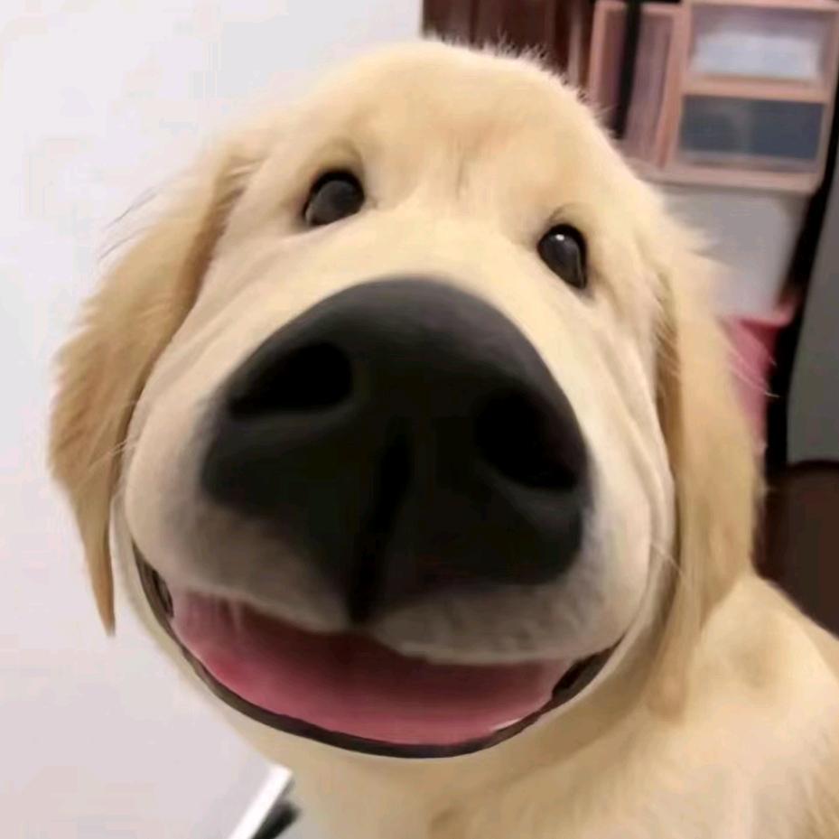 幸会幸会🐾
