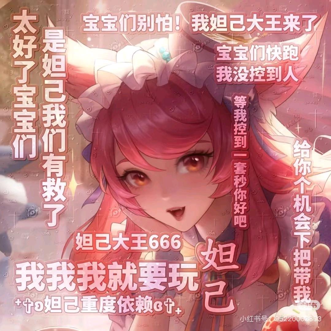 妲己宝宝上王者