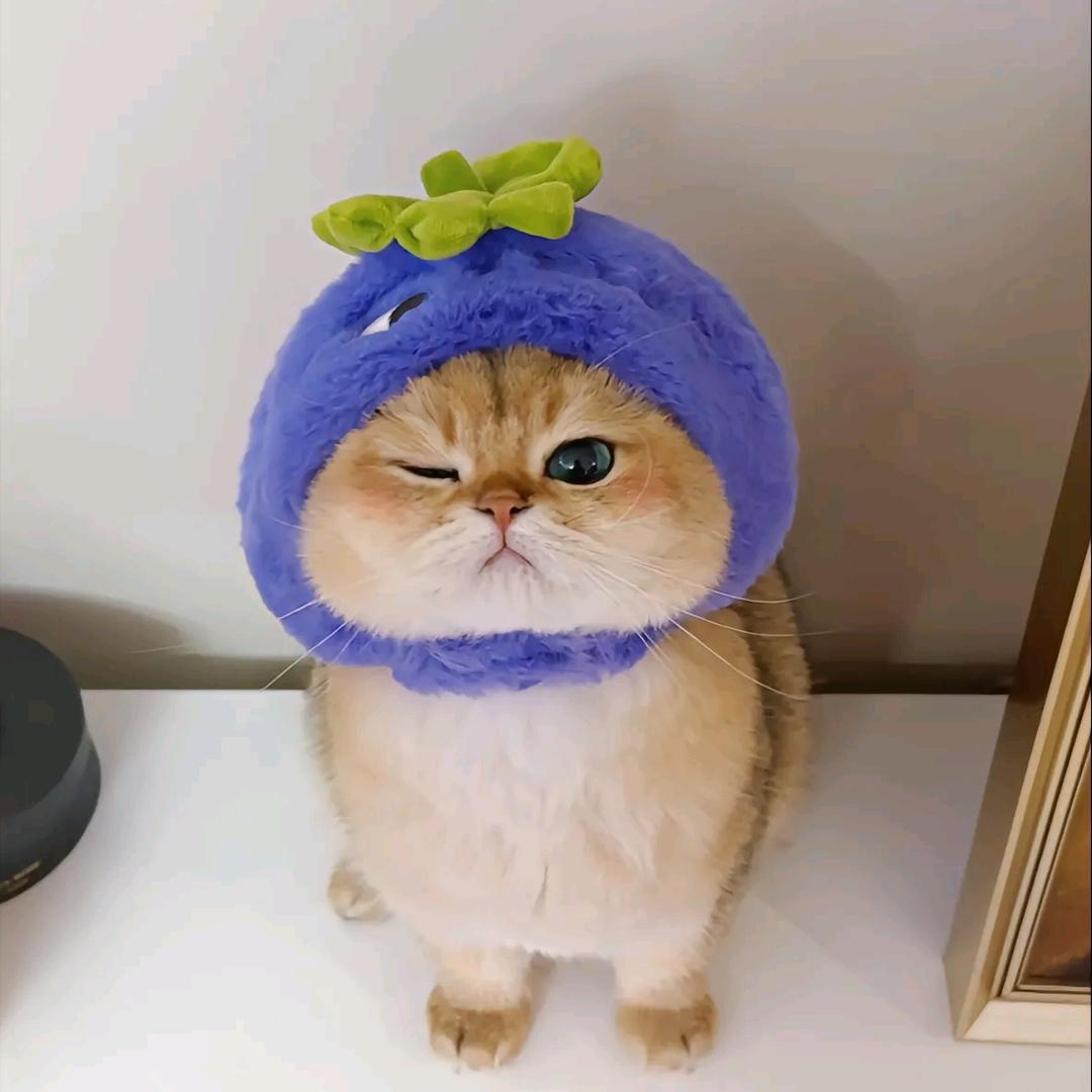 蜜桃乌龙茶