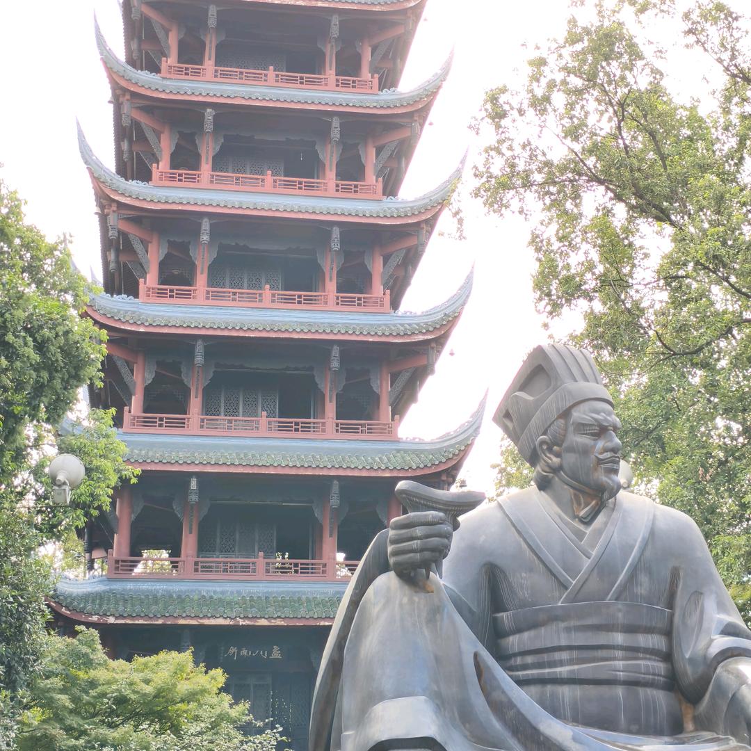 逢我（今日打卡）