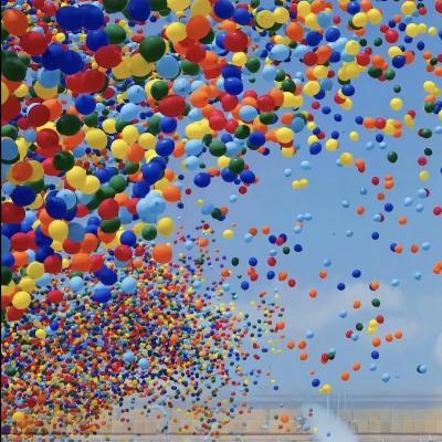 贝多多ˡᵘᶜᵏʸ