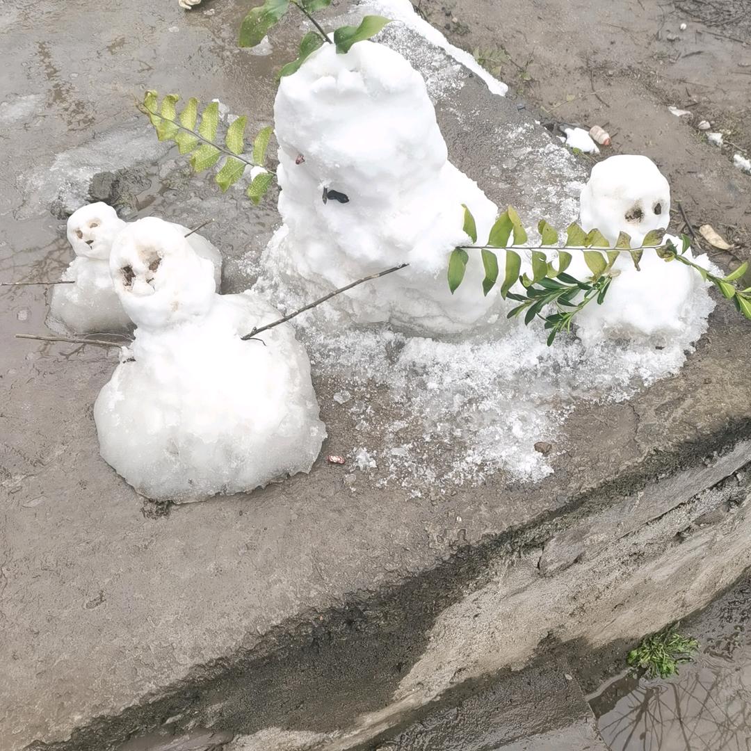 张老师