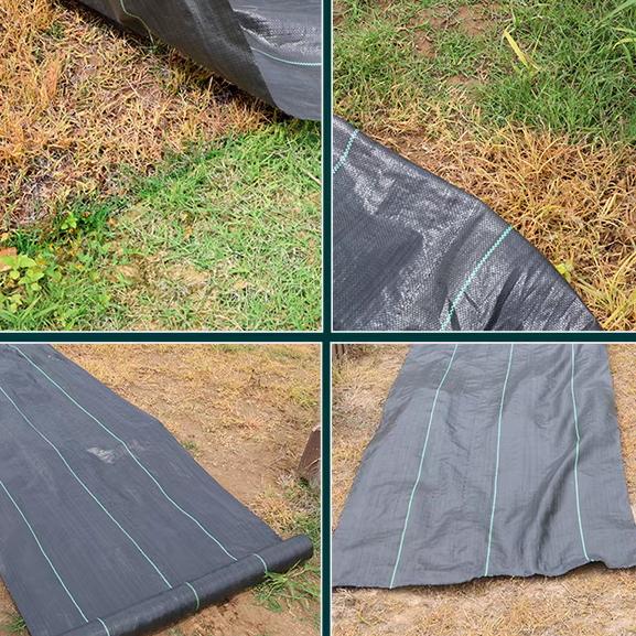 大刘防草布（江苏成品与半成品转运仓）