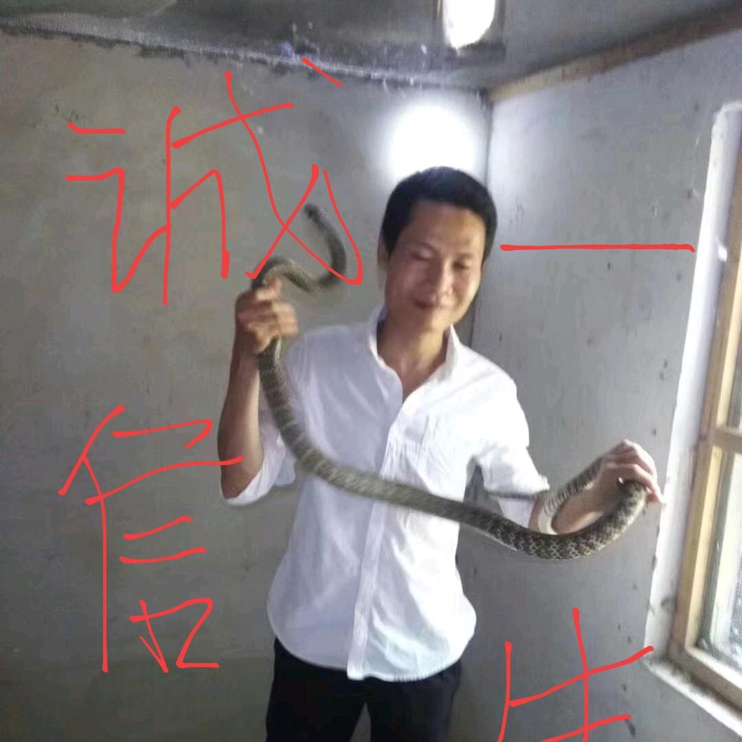 海南养蛇人王兆开