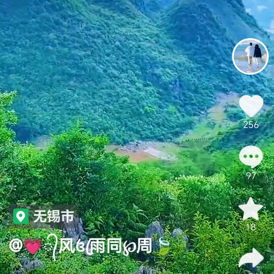 孤雁
