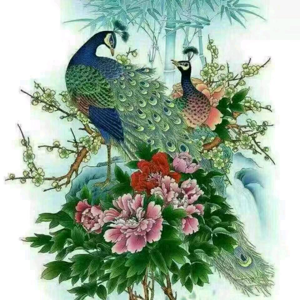 用户721165541411