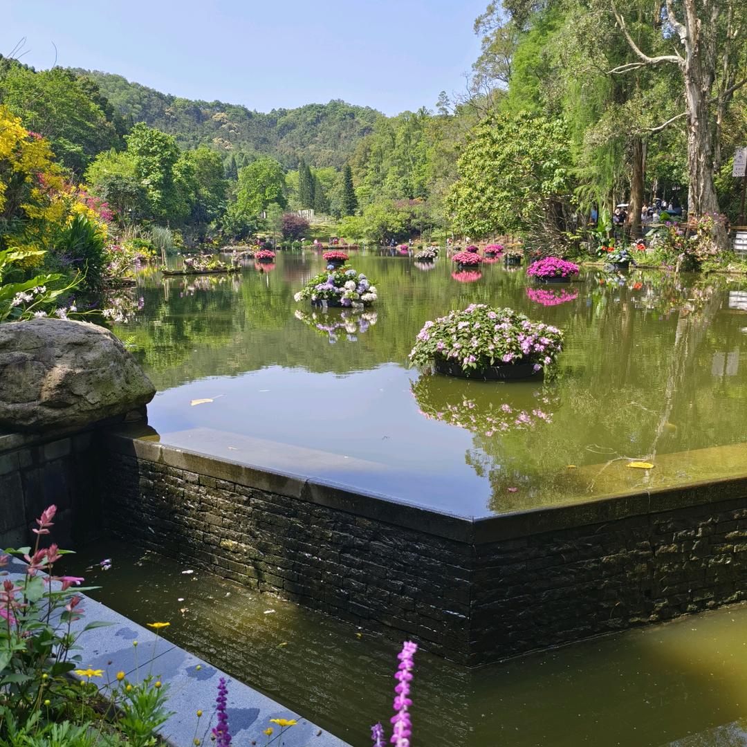 🍃叶子