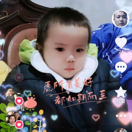 郑氏风华