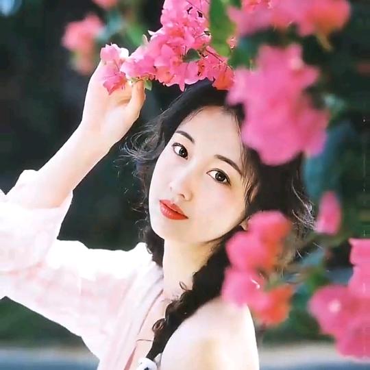 木木小主