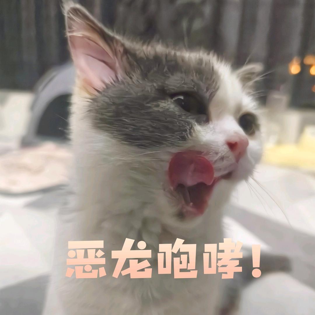 富贵🐷