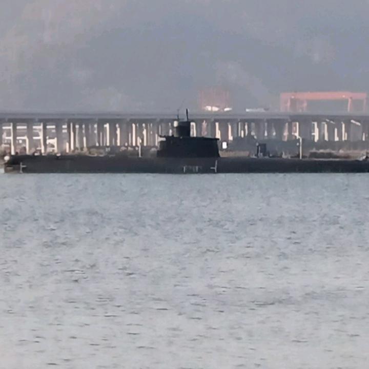 狂风雄师头像