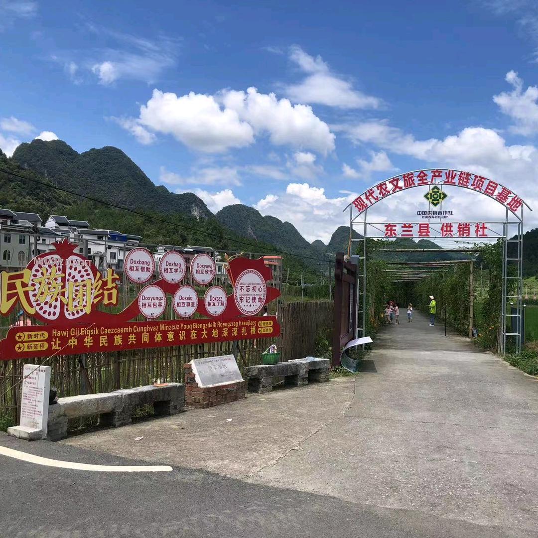 东兰县供销社现代农文旅全产业链项目基地