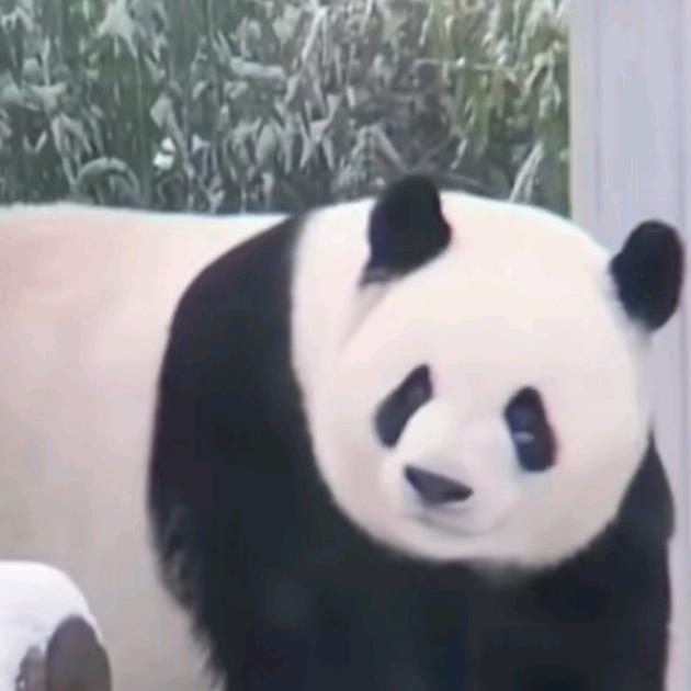 淡然
