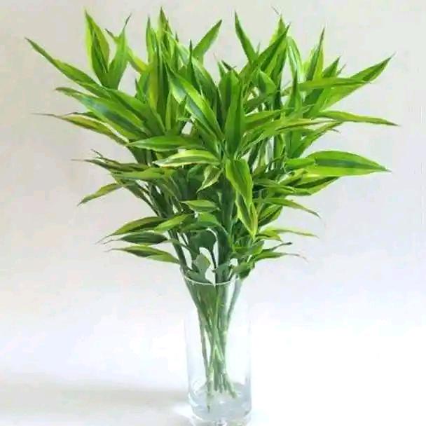 💞ℒ晓家夫人💕࿐