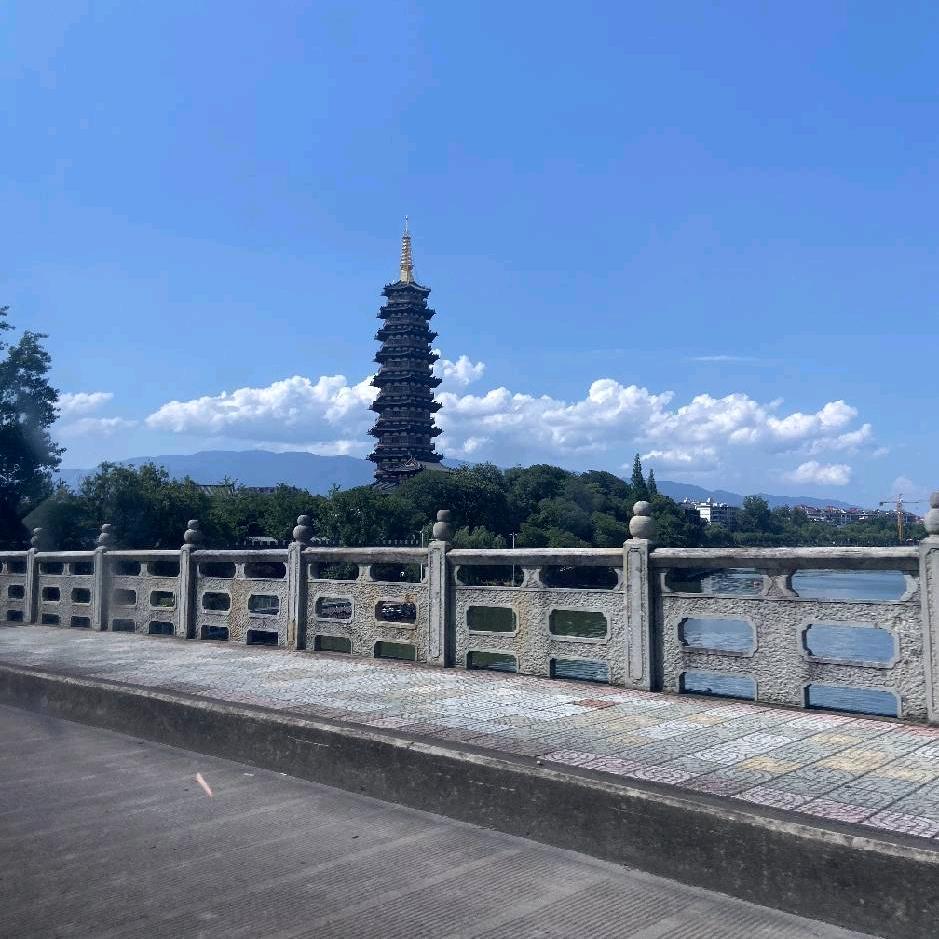 骆驼