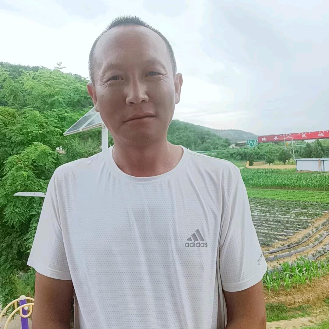你猜