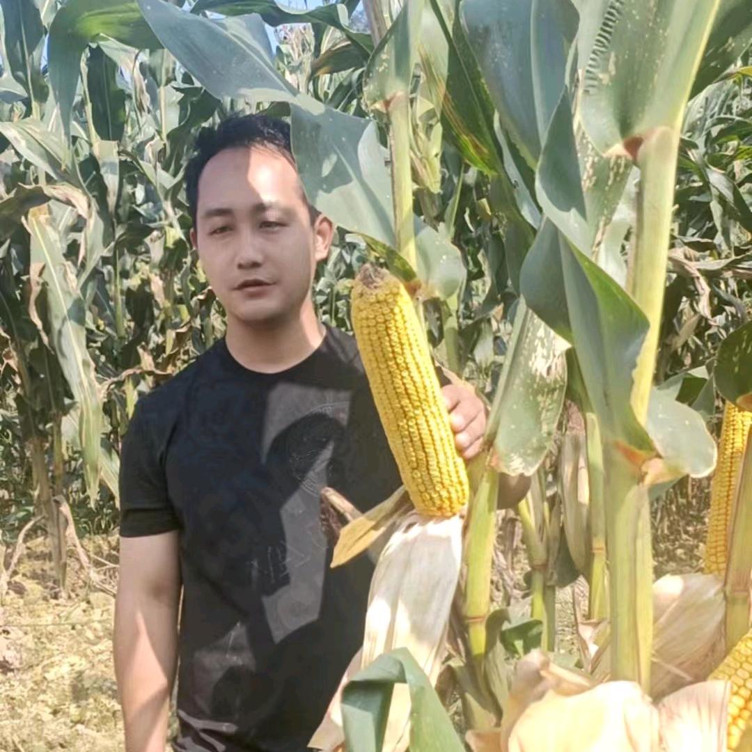 江安四面山农资批发