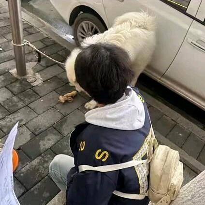 小y