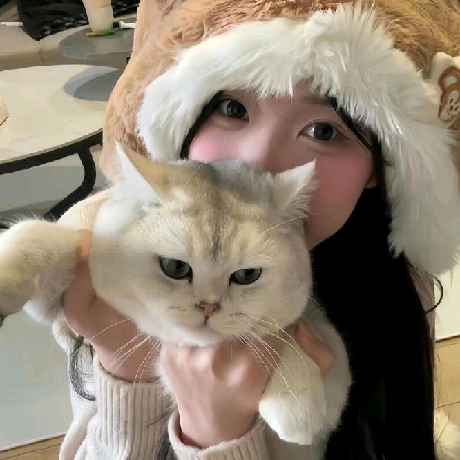 懂你的美好