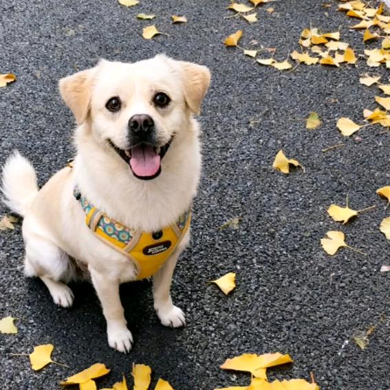 奔搂儿不是公主