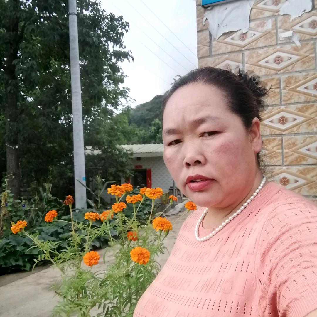 幸福一家人《刘》