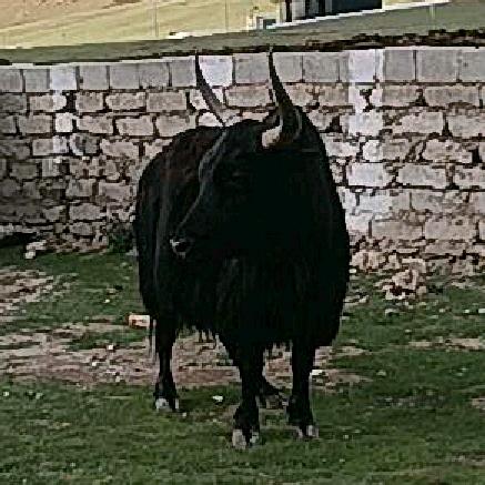 1376