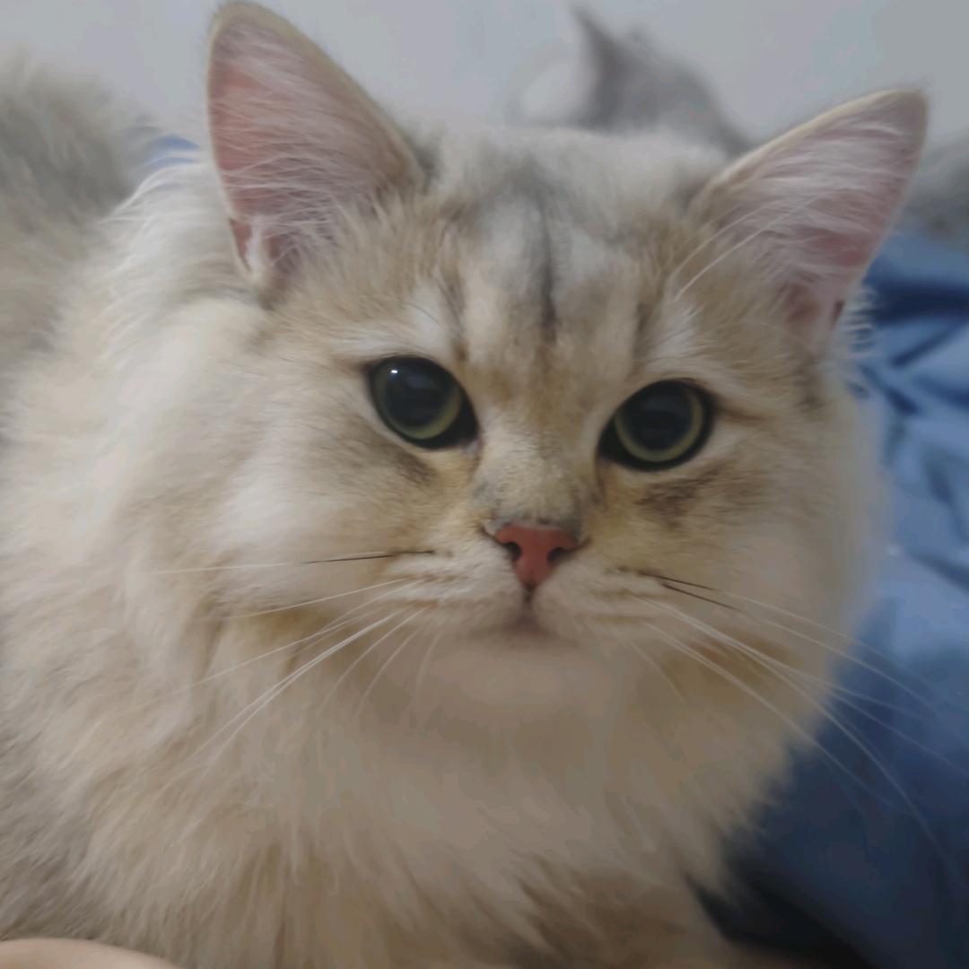 和生兴国农产品店