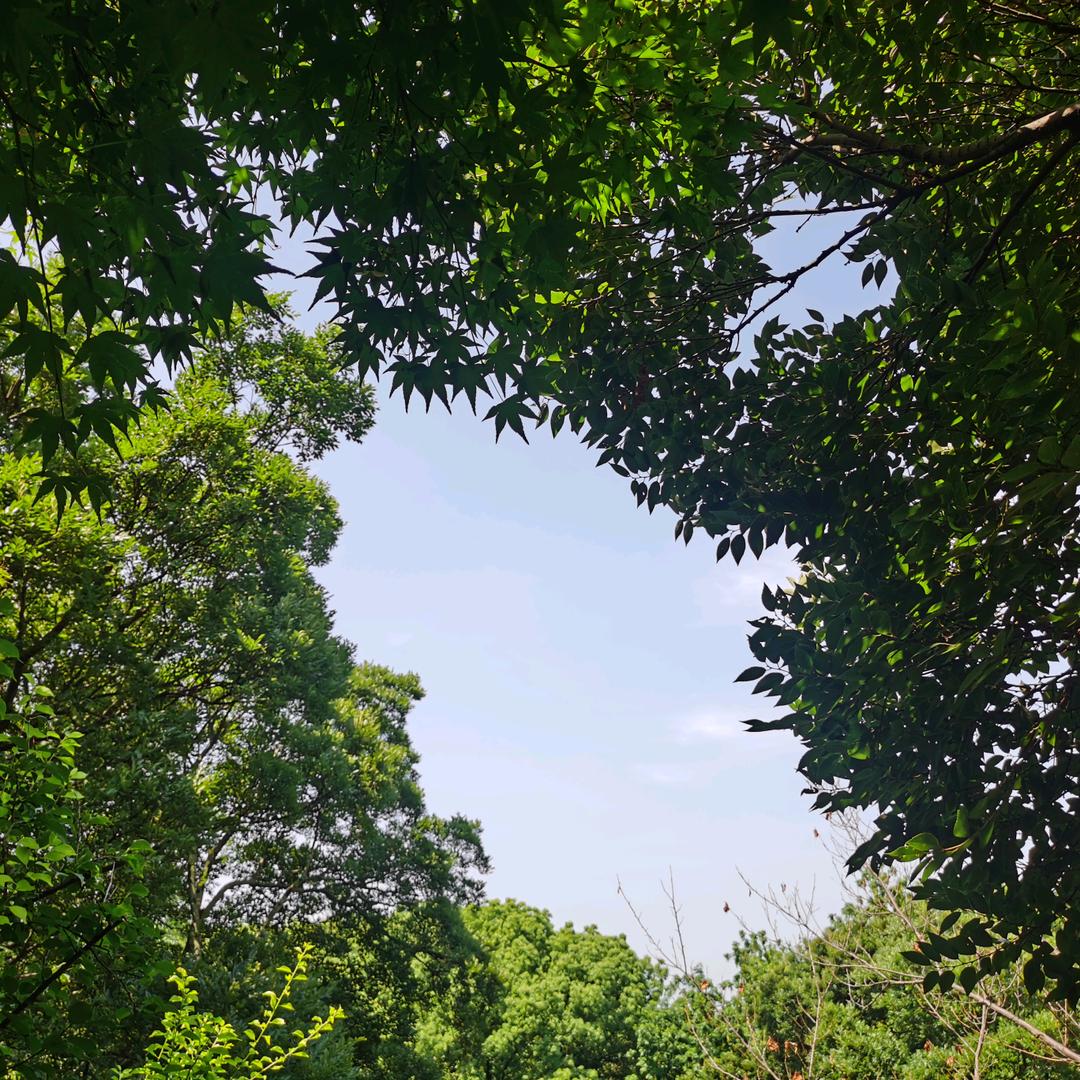 冰清玉洁