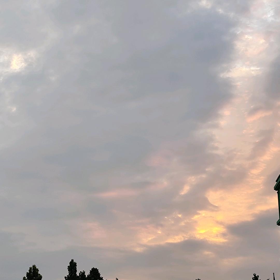 蜗牛