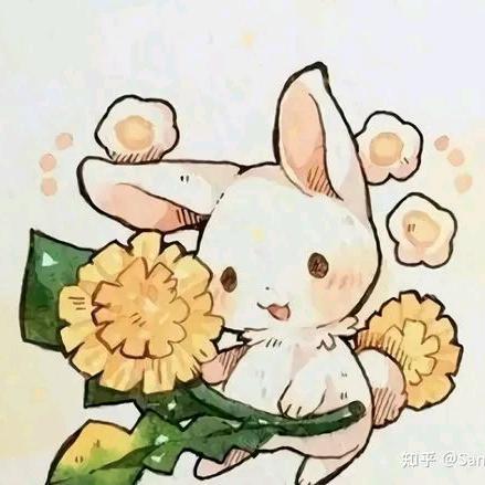 鱼儿爱自由
