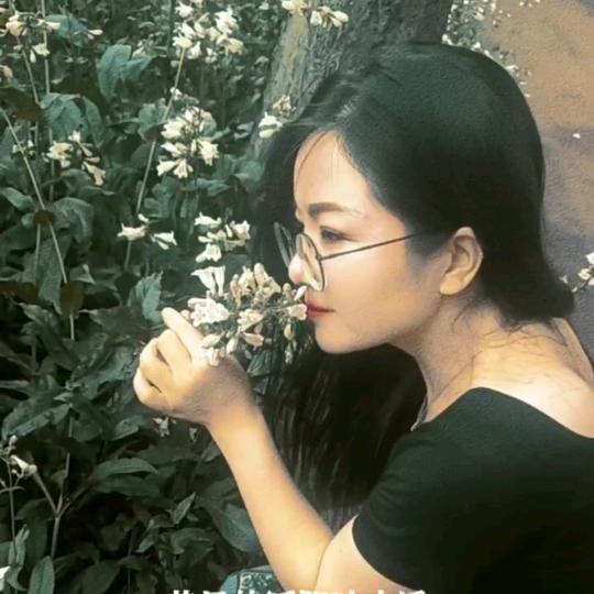 简爱