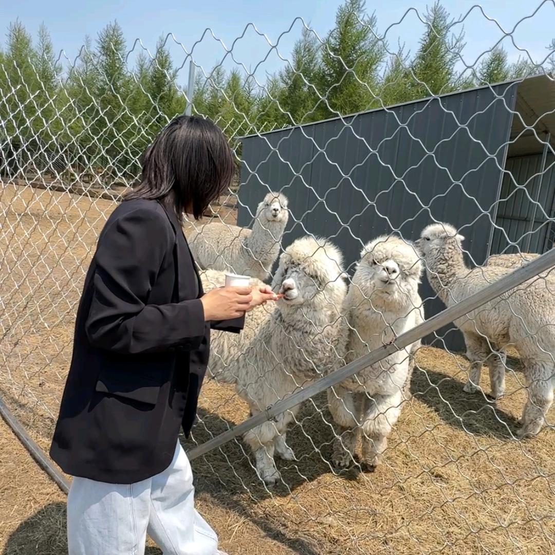 小明逛承德