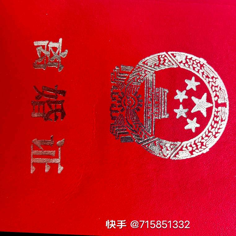 杨宝