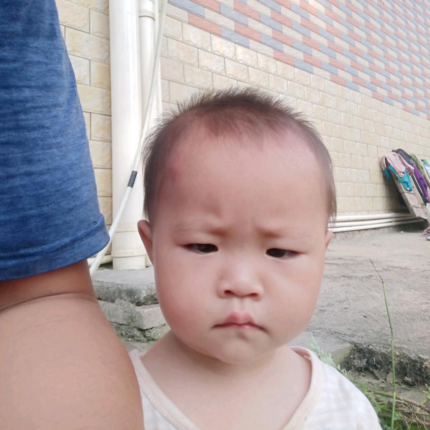 杨