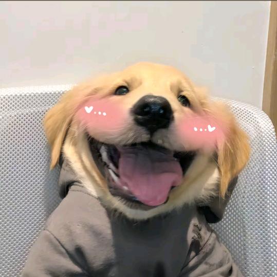 皮卡丘的弟弟