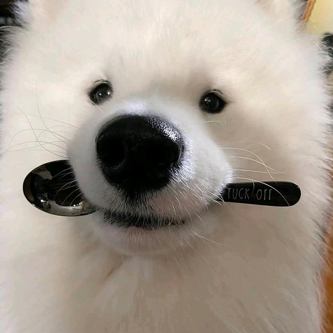 阿巴