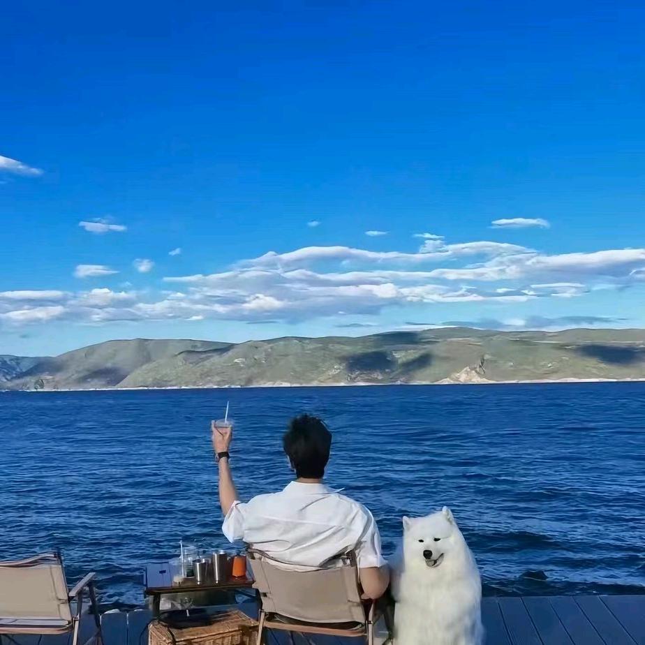 自由的鱼