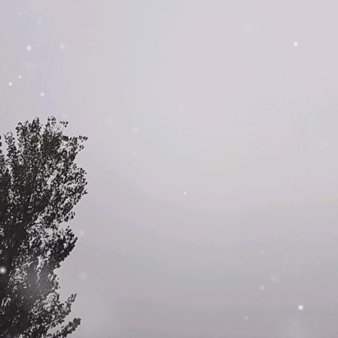 独闯天下