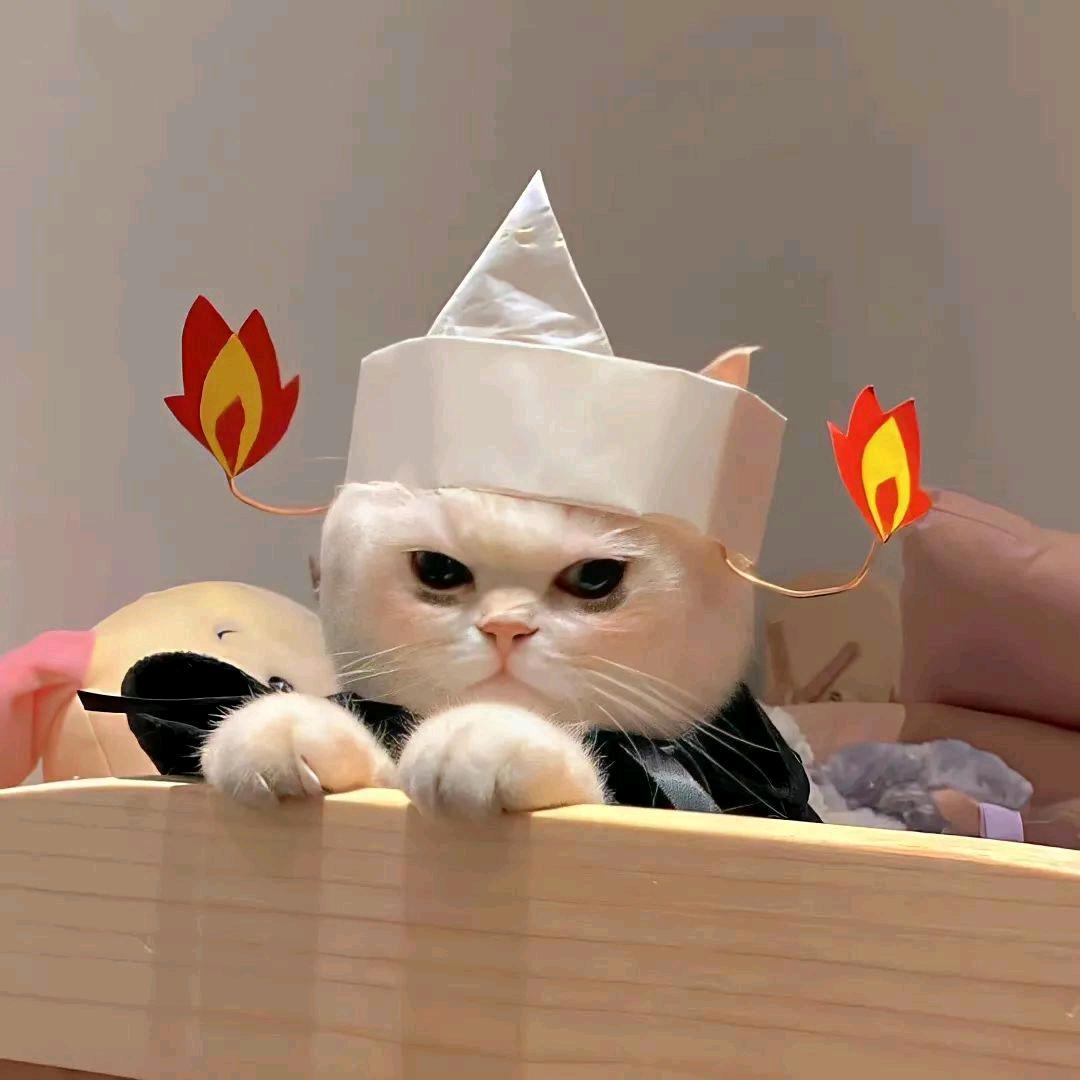七心海棠果