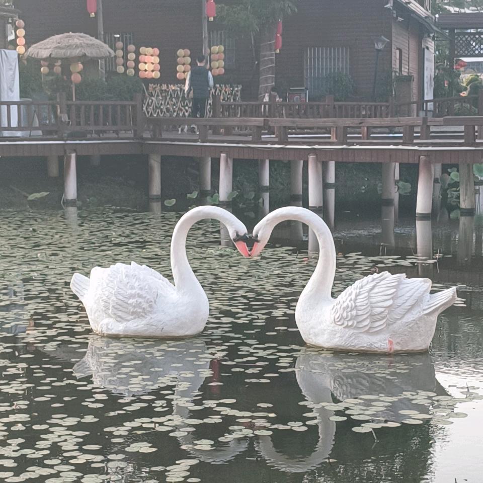 梅梅优选好物推荐