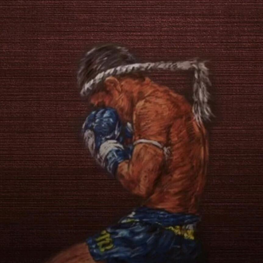 小鑫不会打拳🥊