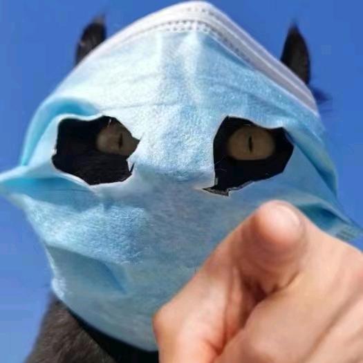 冬日负暄.