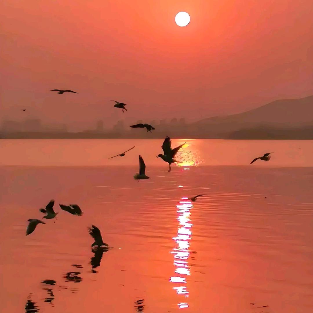 夕阳无限好
