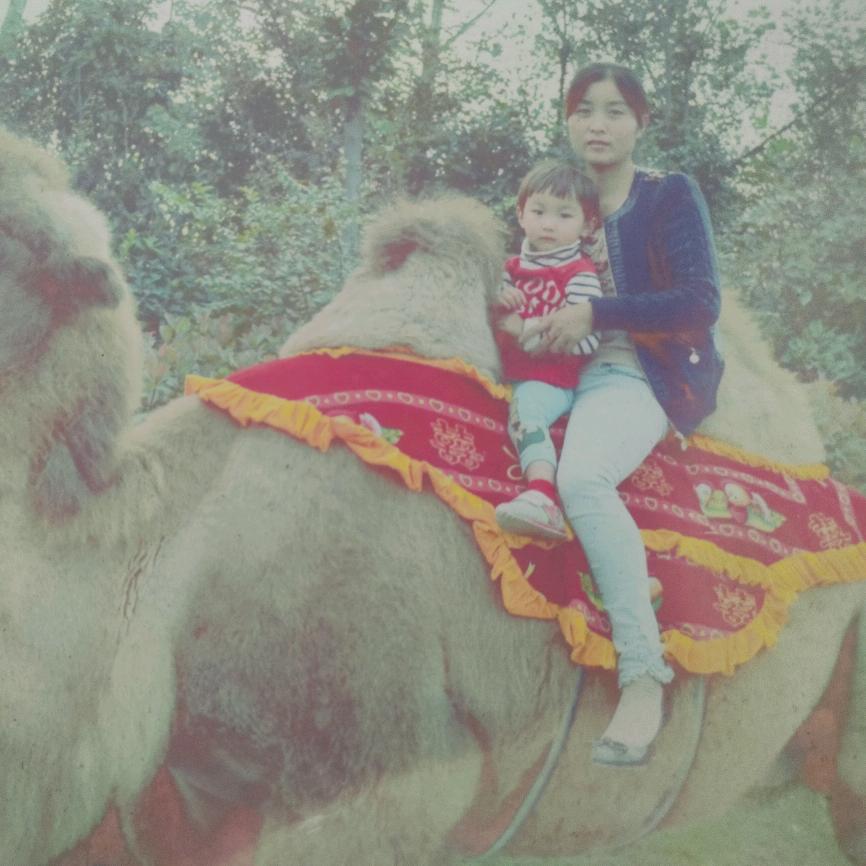 ☃️快乐就好⛄