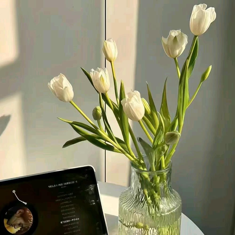 努尔比亚服装店2号