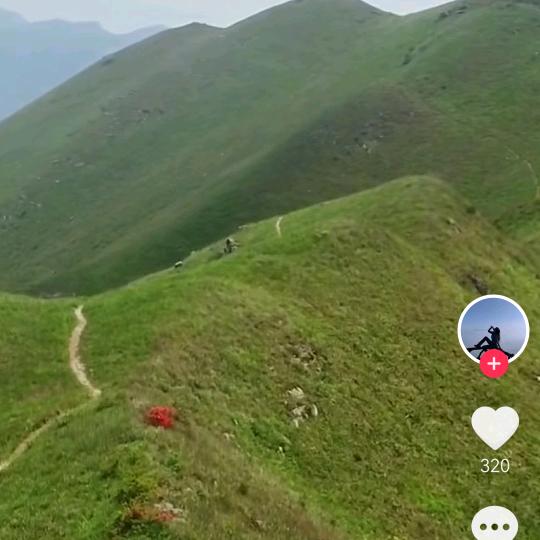 乡村领路人-嘉哥