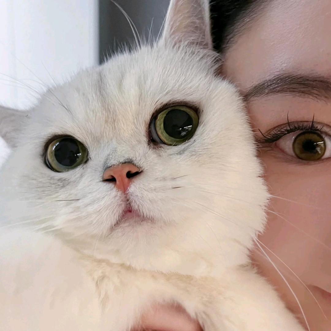 十一